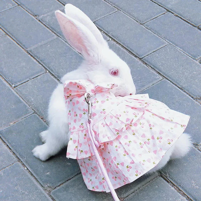 Cotton Rabbit Harness Dress Set