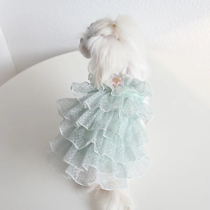 Cat Spring/summer Dress
