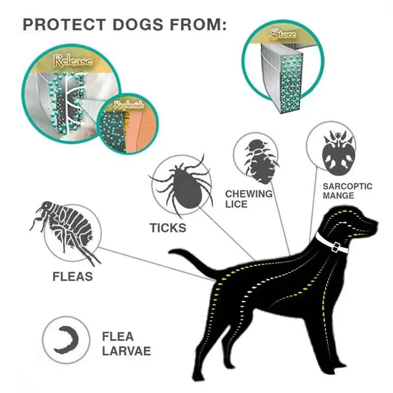 Adjustable Anti-Flea Pet Collar