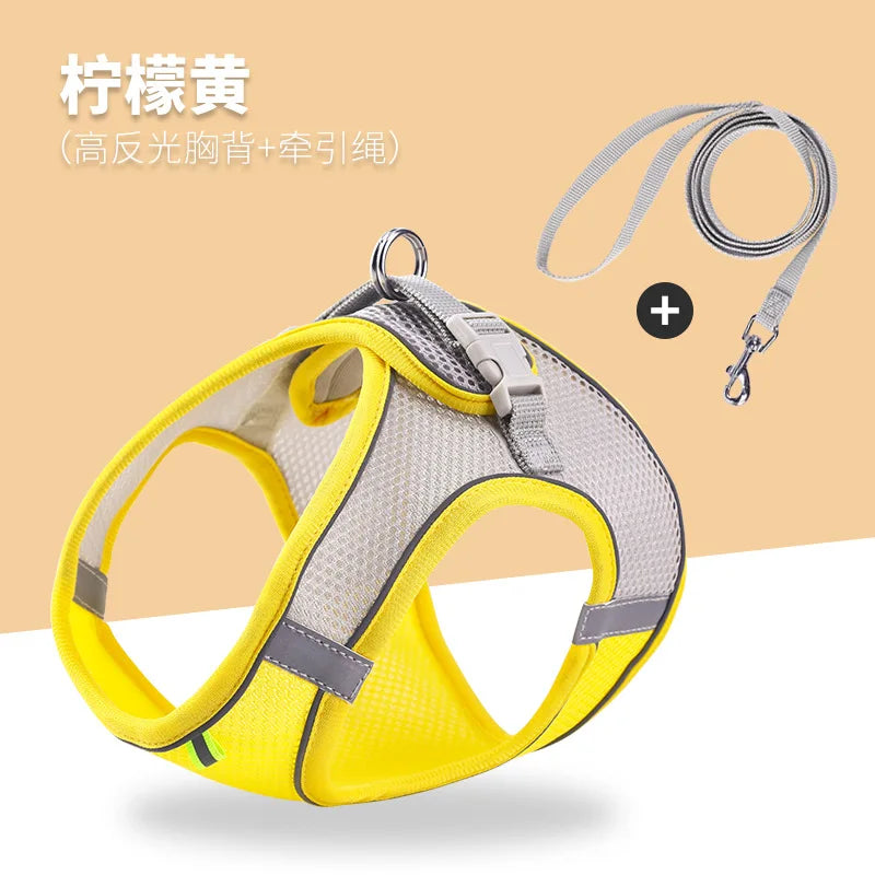 Noctilucent Pet Harness Leash Set