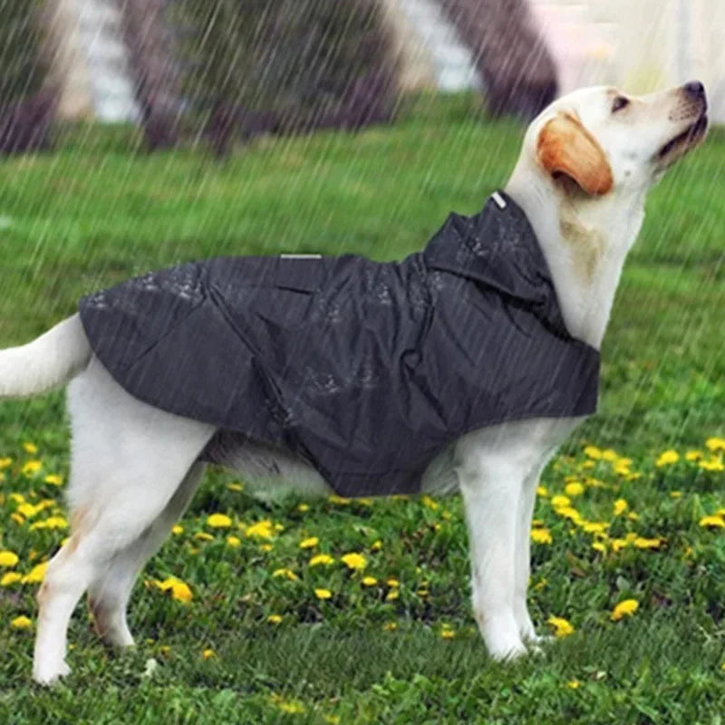 Waterproof Reflective Dog Raincoat