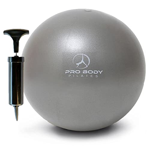 ProBody Pilates Ball Small Exercise Ball w/Pump, 9 Inch Barre Ball, Mini Soft Yoga Ball, Workout Ball for Stability, Barre, Ab, Core, and Physical Therapy Ball at Home Gym & Office (Silver)
