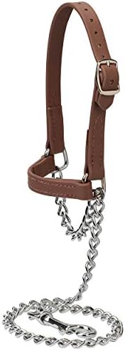 Brahma Webb ® Goat Halter, Medium, Brown
