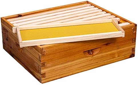 10-Frame Beehive Box Langstroth Medium Super Bee Box for Sale Wax Coated Bee Hives Includes Wooden Frames & Waxed Foundations (Assembled)