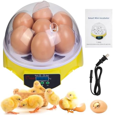 7-Egg Incubator 360° View Poultry Incubator with Manual Temperature Control for Hatching Chicken, Duck, Goose, Parrot, and Quail Eggs
