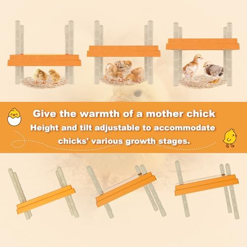Brooder Plate with Adjustable Temperature & Height,10" x 10" Chick Heat Plate (Orange)