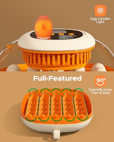 [2024 Upgrade] 25 Egg Incubator, Automatic Egg Turner with Thermometer Seat and Humidity Control, Egg Candler, 360° View with Clear Window, Incubators for Hatching Chicks (Sunlit Orange)