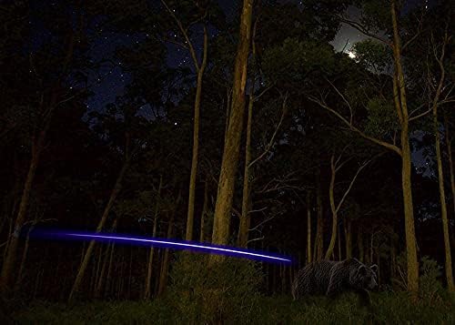 DEEPOWER S Lighted Nocks for Arrows .244/6.2mm 6/12 Pack Lighted Arrow Nocks for Archery Hunting (6, Blue)