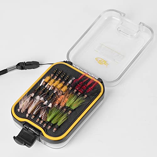 SF Plastic Waterproof Pocket Fly Fishing Box Double Side Clear Lid Easy Grip Foam with Lanyard Mini Fly Box