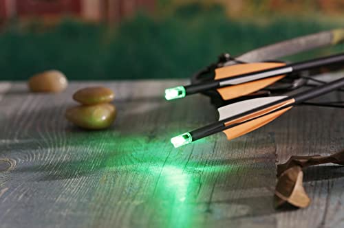 DEEPOWER Crossbow Lighted Nock with ON/Off Switch 4 Pack with .285”/.297”/.300”/.305” Bushings LED Nock Universal Fit for Bolts (Green)