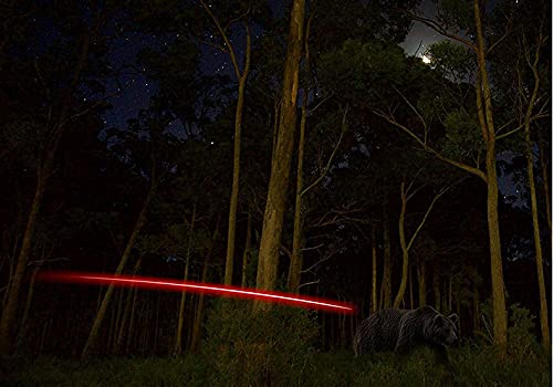 DEEPOWER X Lighted Nocks for Arrows .204”/.233”/.244”/.246” with ON/Off Switch with H, S, GT Bushings