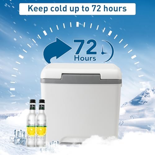 13.74 Qt Pool Cooler for Above Ground Pools, with 5 Ice Pack, Hard Cooler with Handle, Portable Above Ground Pool Accessories,Cans Keep Cold for 1-3 Days, Suitable for Poolside,Camping, Fishing