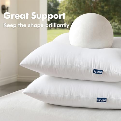 MIULEE Pack of 2 18x18 Outdoor Pillow Inserts, Outdoor Throw Pillows Water-Resistant Decorative Premium Square Pillow Stuffer Sham for Porch Swing Couch Sofa Cushion Patio Furniture