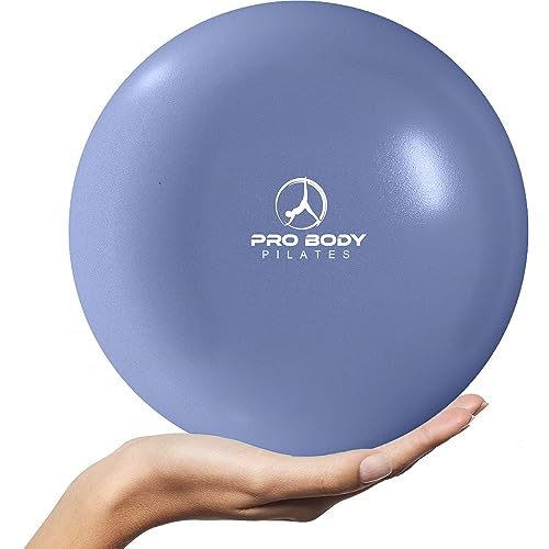 ProBody Pilates Ball Barre Ball, 9 Inch Small Exercise Ball for Between Knees, Mini Soft Yoga Ball for Stability, Barre, Fitness, Ab, Core, Physio and Physical Therapy Ball (Indigo)