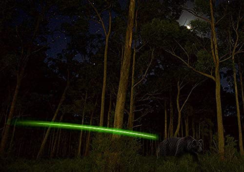 DEEPOWER Crossbow Lighted Nock with ON/Off Switch 4 Pack with .285”/.297”/.300”/.305” Bushings LED Nock Universal Fit for Bolts (Green)