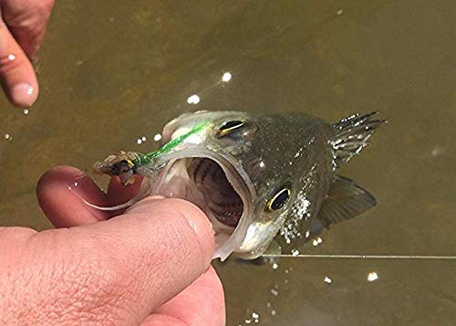 Piscifun Fly Fishing Leader with Pre-Tied Loop, Tapered Fly Line Leader, Nylon, Clear, 7.5ft, 6 Pack, 6X