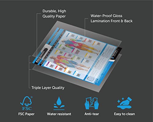 Muscle Groups & Exercise Gym Poster - LARGE 24" X 16.5" - Laminated - Gym & Home Fitness Wall Chart - Includes Video Training Support by Posterfit