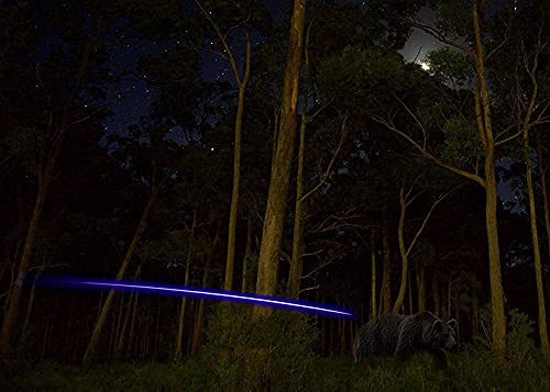 DEEPOWER Crossbow Lighted Nock with ON/Off Switch 4 Pack with .285”/.297”/.300”/.305” Bushings LED Nock Universal Fit for Bolts (Blue)