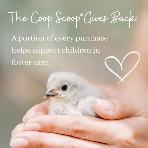 The Coop Scoop® 2-in-1 Chicken Poop Scooper & Rake – Durable Sand Sifting Litter Shovel for Chicken Coops & Small Farm Animals