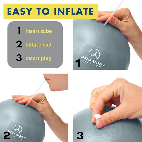 ProBody Pilates Ball Barre Ball, 9 Inch Small Exercise Ball for Between Knees, Mini Soft Yoga Ball for Stability, Barre, Fitness, Ab, Core, Physio and Physical Therapy Ball (Indigo)
