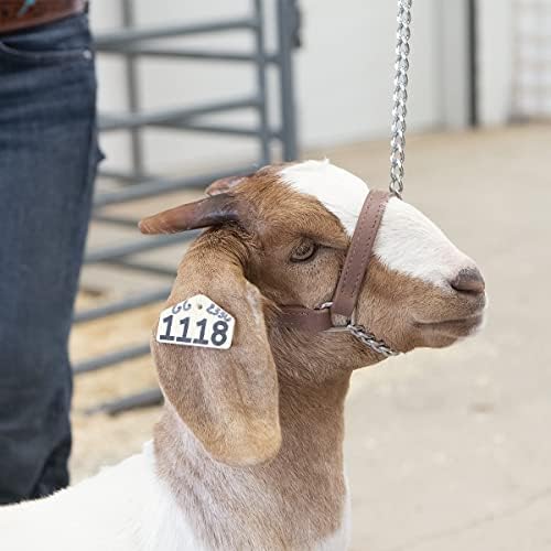 Weaver Leather Livestock Brahma Webb Goat Halter, Brown
