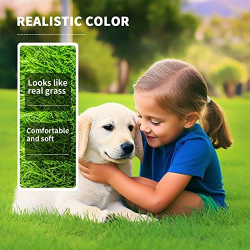 LOOBANI Realistic Artificial Grass Rug Indoor Outdoor, Dog Grass Mat with Drainage Holes and Replacement Artificial Grass Turf, Fake Grass for Garden Lawn Landscape Balcony Decoration, 3 Feet x 5 Feet