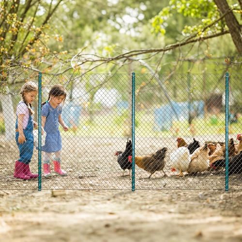 ARIFARO Fence Posts 3 Feet Sturdy Duty Metal Fencing Poles, Pack of 16, No Dig Garden U Post for Wire Fencing Steel Post for Yard, Outdoor Wire