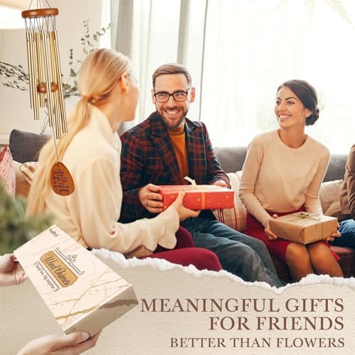 SteadStyle Friendship Gifts for Women, Wind Chime for Best Friends, Friend Gifts for Men - Wonderful Friendship Presents for Special Women BFF Garden Decoration