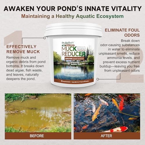 Dr.Raifya’s Muck Reducer Pellets 6 LB - Natural Pond Sludge Solution, Experience The Pure Water & Fresh Odor, Easy to Use, Beneficial Bacteria Safe for Fish, Lake & Outdoor Ponds, 6-Month Supply
