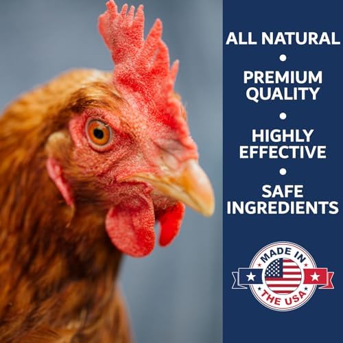 5.5lb Chickie Whiz Dust Bath, Natural Dust Bath for Chickens for Healthier Chicken Eggs, Poultry Care for Other Small Pet Animal for Chicken Coop, Hen House & Farms by Billy Buckskin Co.