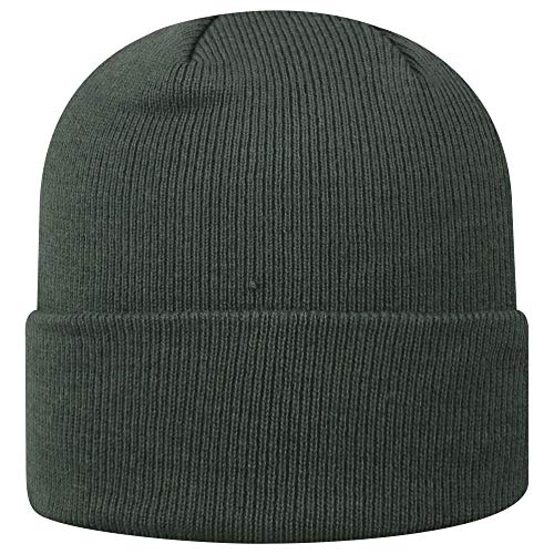 Top of the World unisex adults Cuffed Knit Hat Charcoal Icon Baseball Cap, Penn State Nittany Lions Charcoal, One Size US