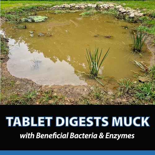 CrystalClear MuckOff, Natural Pond Muck Treatment, Water Garden, Fountain & Bird Bath Sludge Remover, Living Beneficial Bacteria Clarifier with Enzyme, Fish, Aquatic Animal, & Pet Safe, 96 Tablets