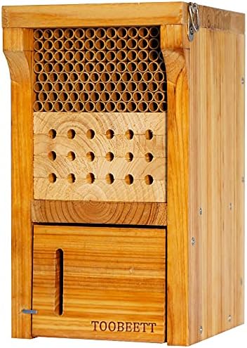 Mason Bee House Wax Coated Mason Bee Hive Wooden Insect Hotel Carpenter Bee House for Outdoors Attracts Peaceful Bee Pollinators to Your Garden
