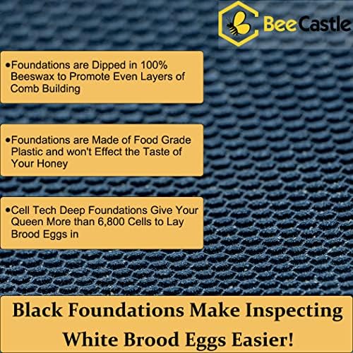 BeeCastle Heavy Wax Coated Langstroth Unassembled Deep/Brood Box with Frames and Beeswax Coated Foundation Sheet (8 Frame)