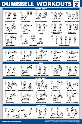 Palace Learning 3 Pack - Dumbbell Workout Posters for Home Gym - Volume 1, 2 & 3 - Exercise Charts (Laminated, 18" x 24")