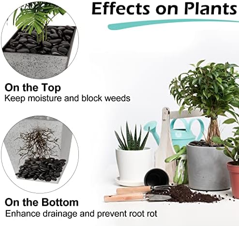 GASPRO 15lb Black River Rocks for Landscaping Outdoor, Polished Black Pebbles for Planters - 1 to 2 Inch, Large Decorative Stones for Garden Decor