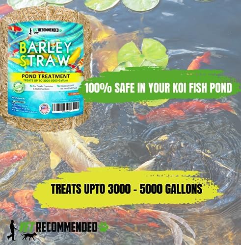Barley Straw for Fish Ponds and Fountain (16 Oz). Treats up to 3000 to 5000 Gallons, 100% Safe & Natural Pond Cleaner. Keeps Your Water Garden Clean & Fresh. Made in USA