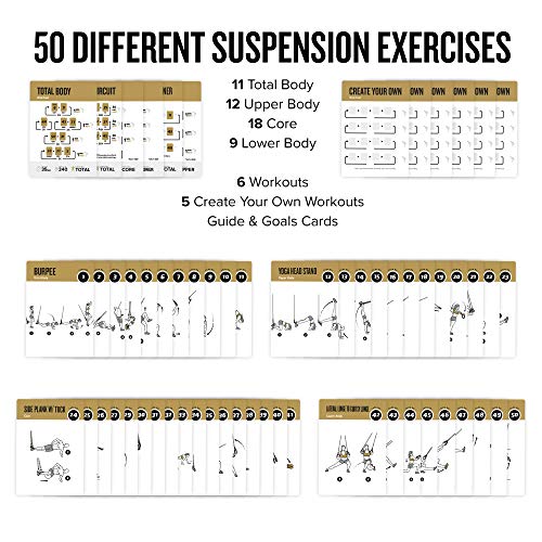 NewMe Fitness Suspension Workout Cards, Instructional Fitness Deck for Women & Men, Beginner Fitness Guide to Training Exercises at Home or Gym (Suspension, Vol 2)