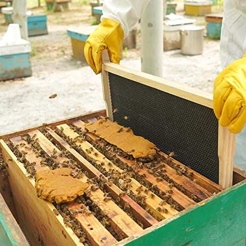 Beehive Waxed Coated Foundation Sheet Beehive Foundation Sheets Waxed Foundation Sheet Plastic Portable Honeycomb Sheet Nest Foundation Sheet Beehive Equipment Fit Deep Frame Black 10 Sheets