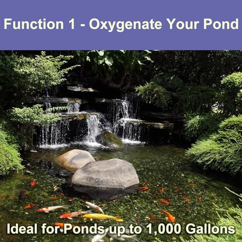 AquaMiracle Koi Pond Aerator for Pond up to 1000 & 2000 Gallons, All-in-One Pond Air Pump Aeration Kit with Air Stones Airline Tubing Check Valves