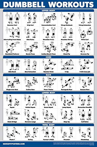Palace Learning 4 Pack - Dumbbell Workouts + Bodyweight Exercises + Resistance Bands Workouts + Warm Up Exercises - Set of 4 Workout Charts (LAMINATED, 18” x 24”)