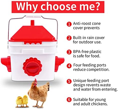 10 Pounds Chicken Feeder with 4 Ports, Rainproof Poultry Feeder for Up to 10 Adult Chickens or 15 Chicks （Patented Products）