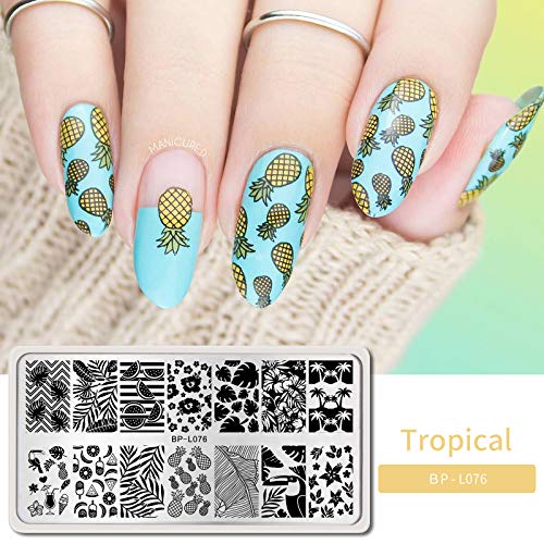 BORN PRETTY Nail Art Stamping Plates Set, Food, Bunnies, Flowers, Lace, Tropical, French Tip Themes Manicuring DIY Nail Templates Plates Print Tool Set