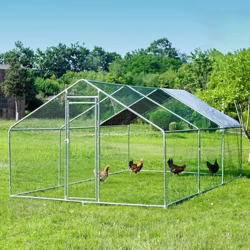 HITTITE Large Metal Chicken Coop with Run, 19.19 x 9.84 x 6.56 ft Walk in Poultry Cage Chicken Run Pen, Outdoor Chicken Runs for Yard with Waterproof & Anti-UV Cover