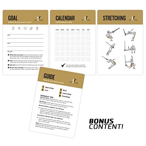 NewMe Fitness Suspension Workout Cards, Instructional Fitness Deck for Women & Men, Beginner Fitness Guide to Training Exercises at Home or Gym (Suspension, Vol 2)