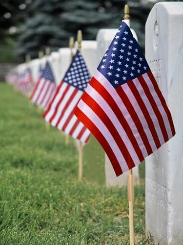 24 Pack 12x18 Inch American Flags For outside, US Flags with Kid-Safe Spear Top, Pluggable ground Multi-Purpose wood Flagpole , Patriotic Decorations, Memorial Day, 4th of July decorations,Independence Day Patriotic Holiday Yard Garden Flags