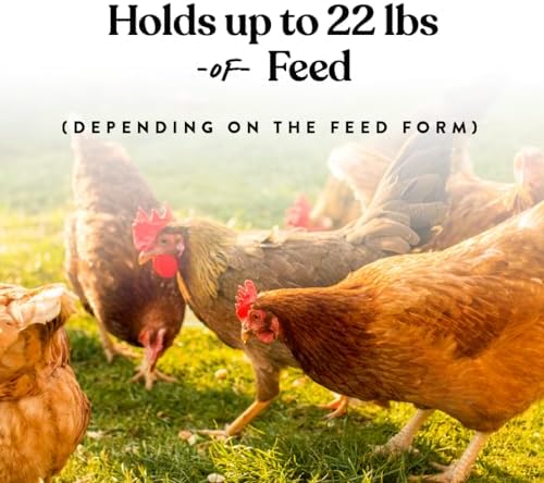 Harris Farms Poultry Multi-Feeder, Poultry Feeder That Holds 20-23 Pounds of Feed, Made with Rain Proof Design, Automatic Poultry Feed System, Easily Assemble, Coop Supplies