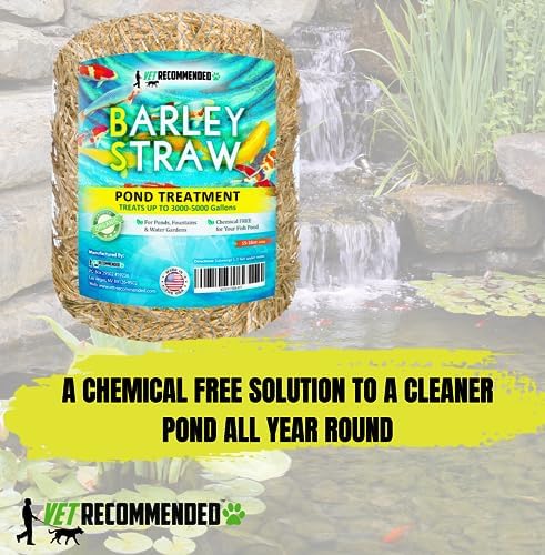 Barley Straw for Fish Ponds and Fountain (16 Oz). Treats up to 3000 to 5000 Gallons, 100% Safe & Natural Pond Cleaner. Keeps Your Water Garden Clean & Fresh. Made in USA