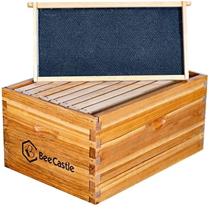 BeeCastle Heavy Wax Coated Langstroth Unassembled Deep/Brood Box with Frames and Beeswax Coated Foundation Sheet (8 Frame)