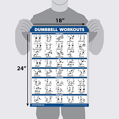Palace Learning 3 Pack - Dumbbell Workout Posters for Home Gym - Volume 1, 2 & 3 - Exercise Charts (Laminated, 18" x 24")